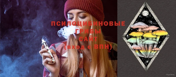 бошки Абинск