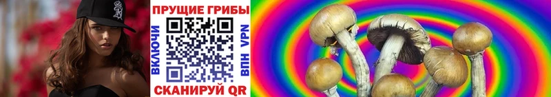 Псилоцибиновые грибы прущие грибы  наркота  Калачинск 